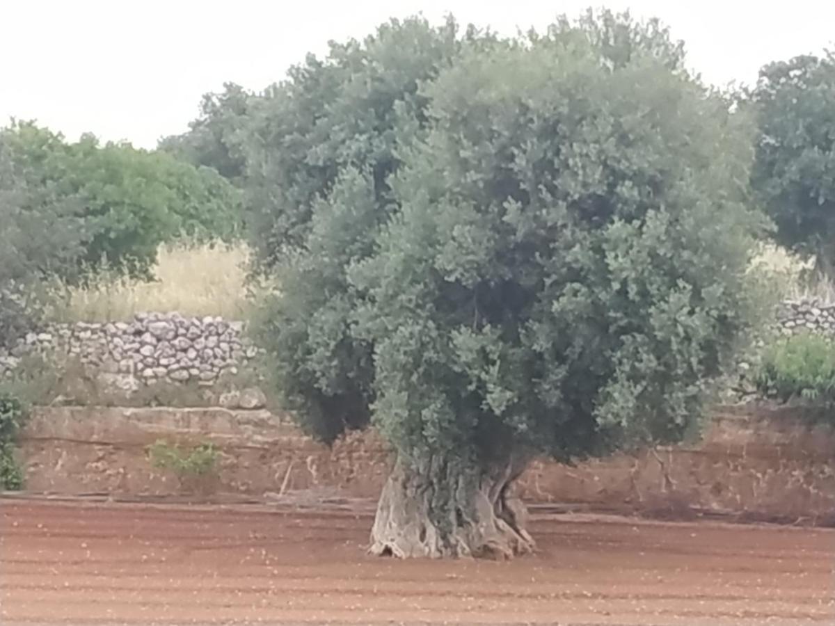 Готель Masseria Auina Фазано Екстер'єр фото