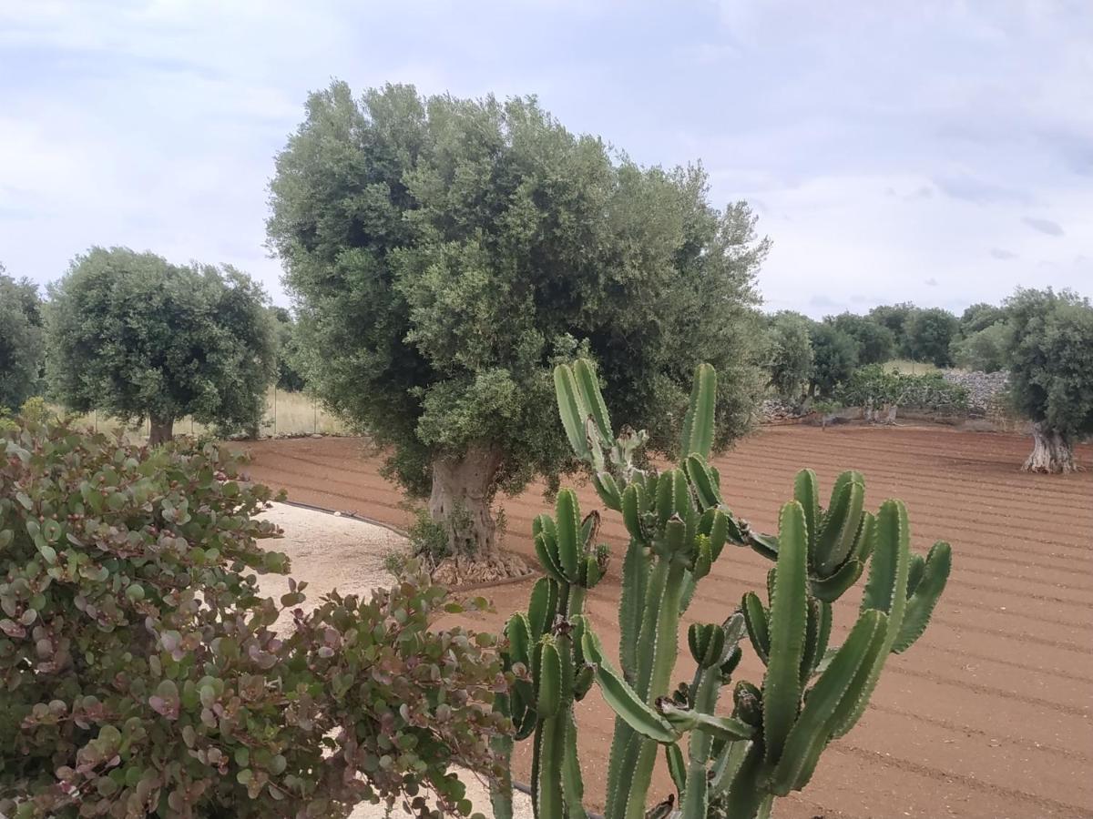 Готель Masseria Auina Фазано Екстер'єр фото